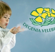 Čišćenje klima uređaja po Standardu Degenia Velebitica